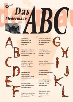 Fledermausflyer: Das Fledermaus-ABC